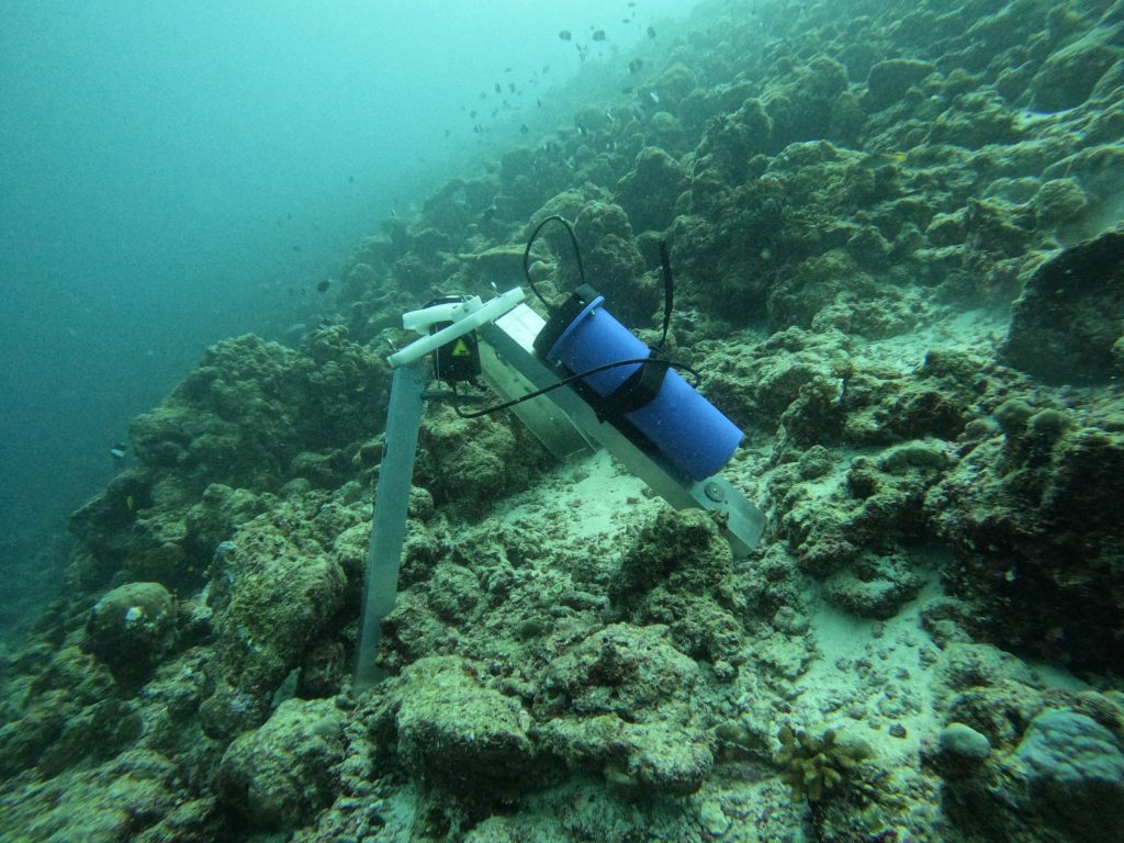 Marine Environmental Studies